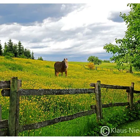 Welcome Mit Seeblick Lägenhet *
