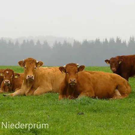 Welcome Mit Seeblick Lägenhet *