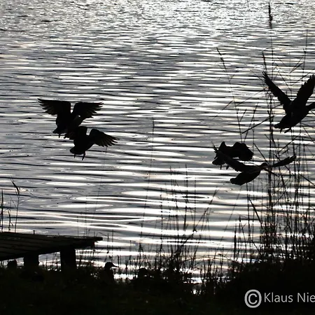 Lägenhet Welcome Mit Seeblick