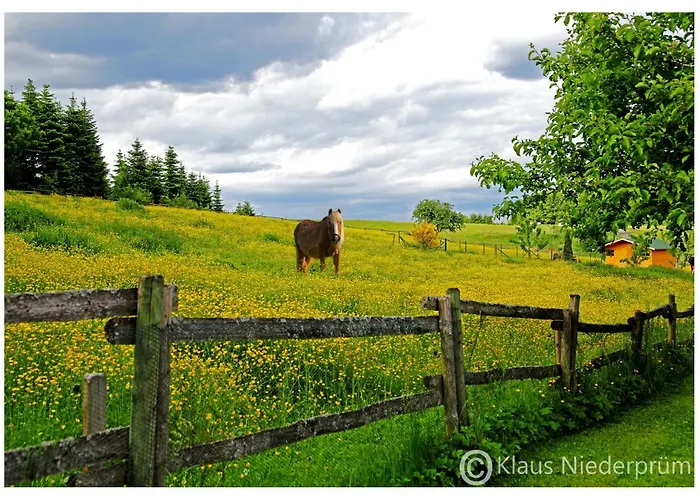 Welcome Mit Seeblick Апартаменты *