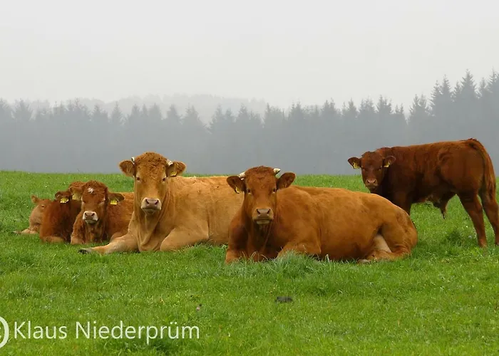 Welcome Mit Seeblick Апартаменты *