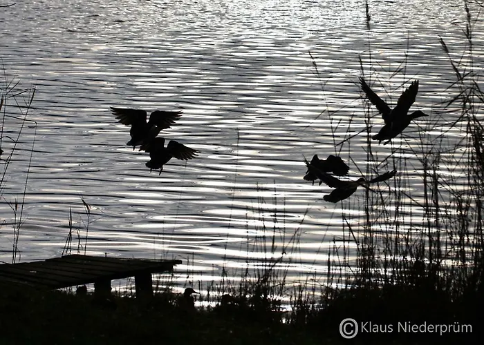 Апартаменты Welcome Mit Seeblick