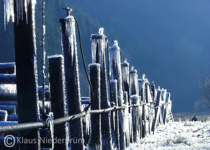 Апартаменты Welcome Mit Seeblick *